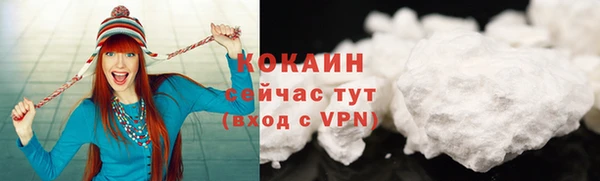 прущие грибы Богородицк