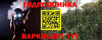 ешки Краснодар