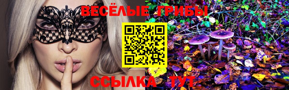 Галлюциногенные грибы Cubensis Сланцы