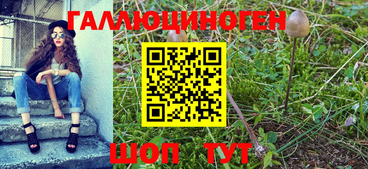 Сланцы  Галлюциногенные грибы Psilocybine cubensis  хочу   Вход с VPN  Псилоцибиновые грибы ЛСД 