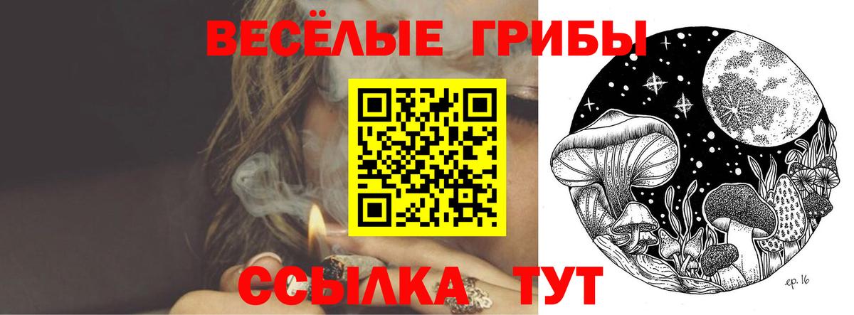 Сланцы  Псилоцибиновые грибы прущие грибы  Галлюциногенные грибы мицелий  продажа наркотиков  Вход с VPN 