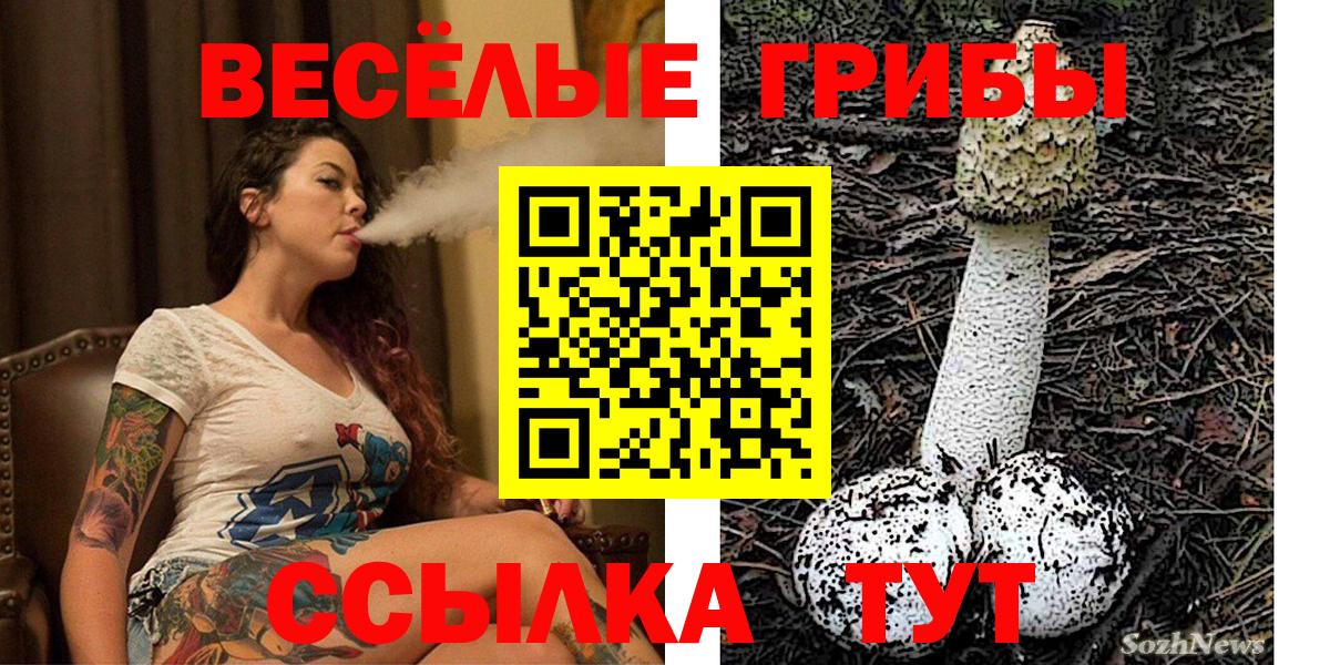 Псилоцибиновые грибы MAGIC MUSHROOMS Сланцы