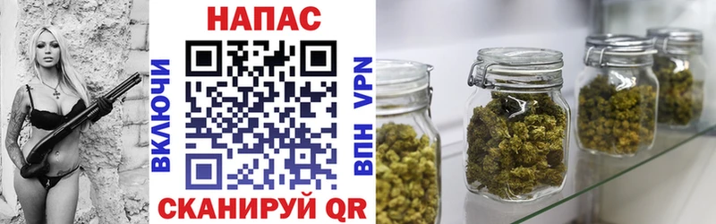 Конопля план  купить закладку  Сланцы 